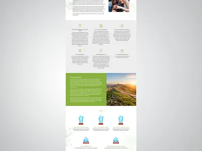 Serenity Trauma Healing Center (Website Design) branding design graphic design logo typography