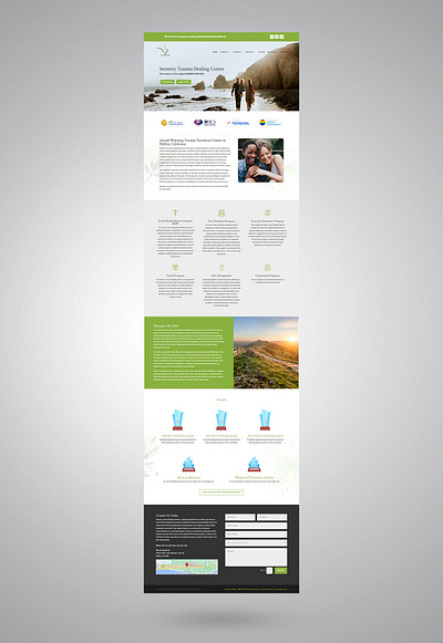 Serenity Trauma Healing Center (Website Design) branding design graphic design logo typography