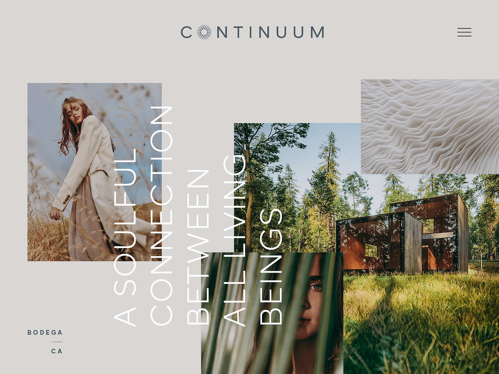 Continuum Website by Anthony Shea on Dribbble