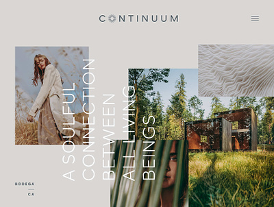 Continuum - Website advertising art direction branding continuum design graphic design logo ui website
