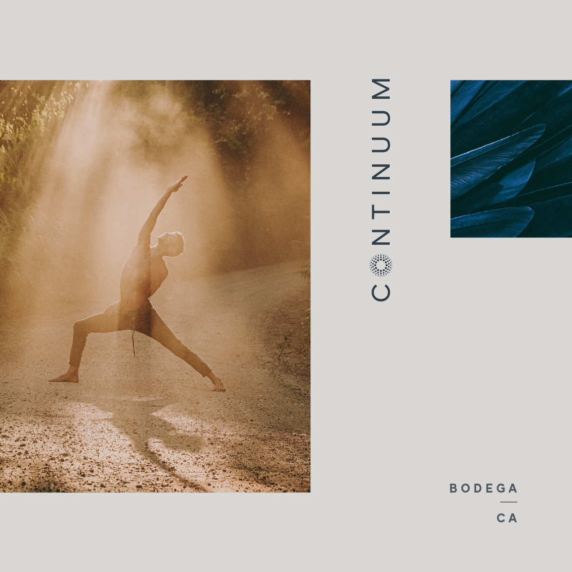 Continuum - Social Media ad advertising art direction branding design graphic design instagram logo social media