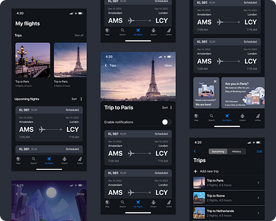 Flight tracker flight flight tracker information architecture trip ui ux