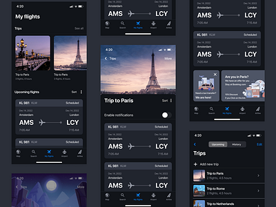 Flight tracker flight flight tracker information architecture trip ui ux