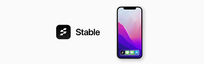 Stable. Crypto Wallet App app branding crypto graphic design logo ui
