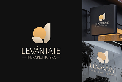 Brand Identity: Levantate - Therapeutic Spa brand identity branding brown curvy elegant geometric gold logo design luxurious luxury modern round spa