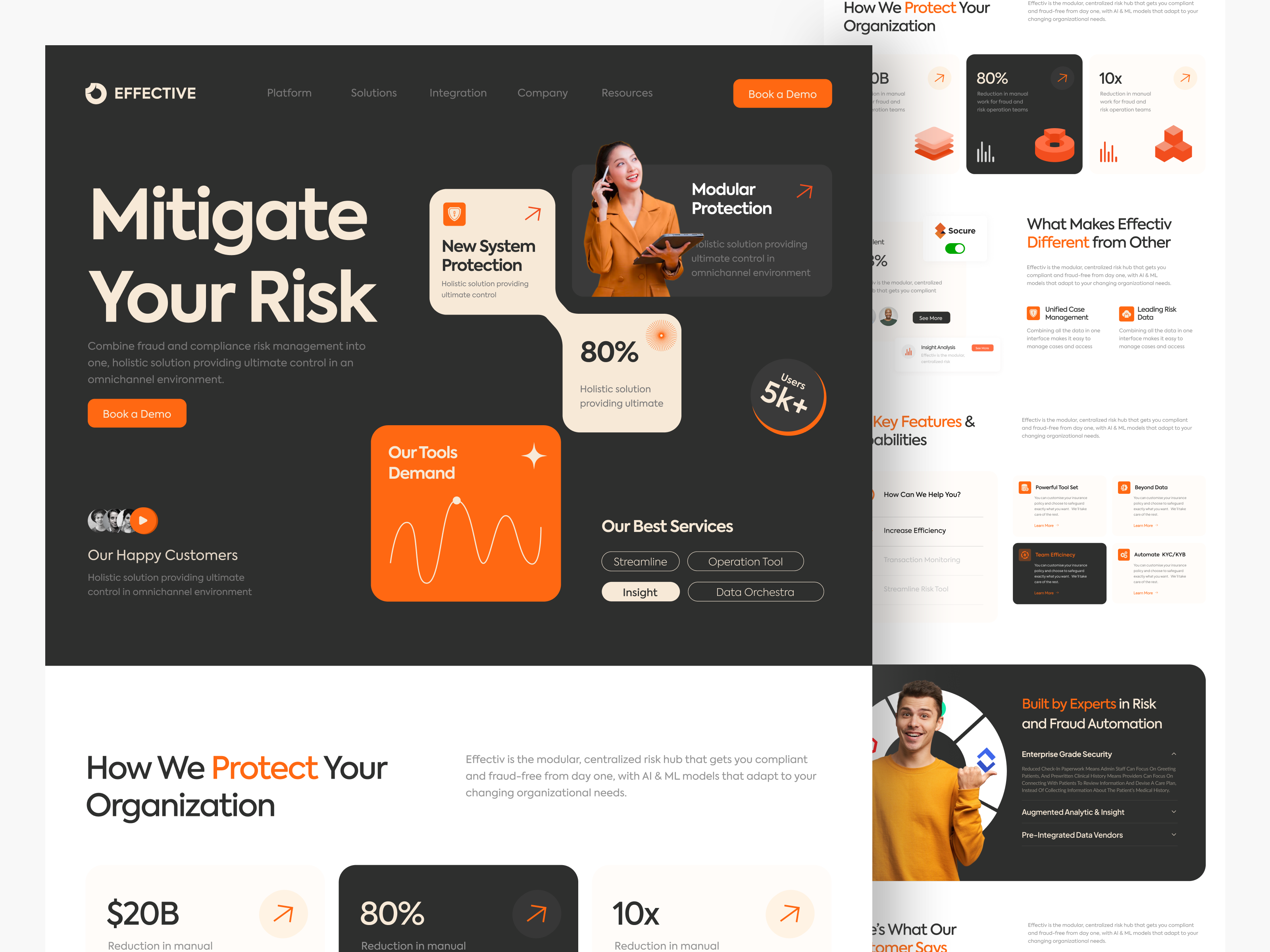 EFFECTIVE - Risk Management Website analysis business cyber data design fraud home page insight landing page management risk security ui uidesign web design website