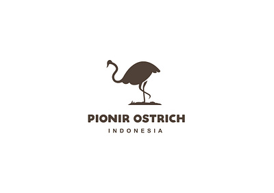 ostrich logo branding design graphic design illustration illustrator logo ostrich logo typography vector