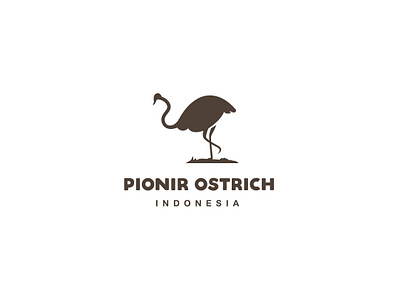 ostrich logo branding design graphic design illustration illustrator logo ostrich logo typography vector