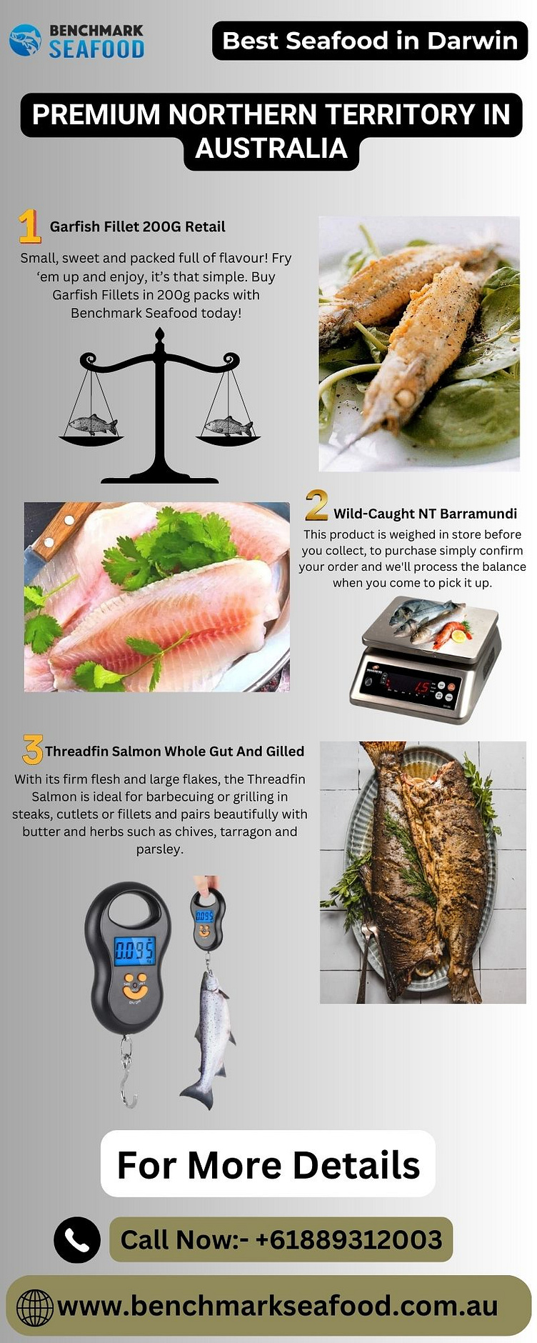 Order Fresh Fish and Seafood Online Benchmark Seafood by Benchmark Seafood on Dribbble