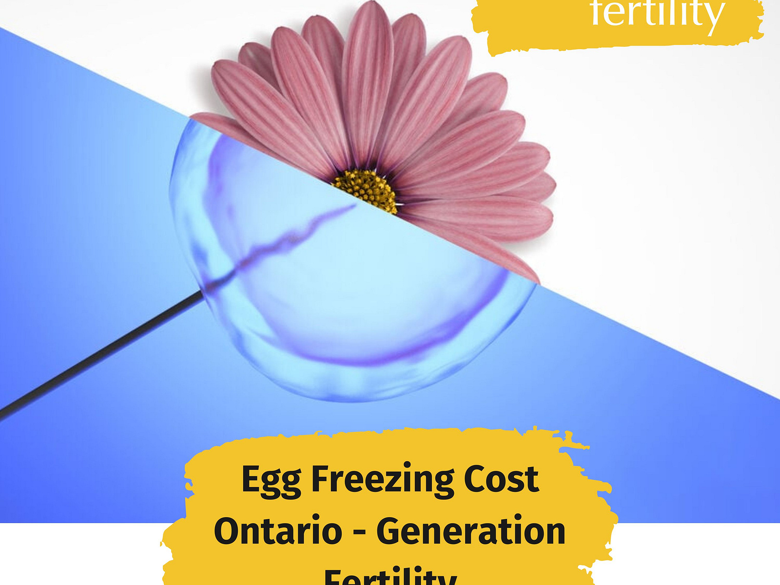 egg-freezing-cost-ontario-generation-fertility-by-generation