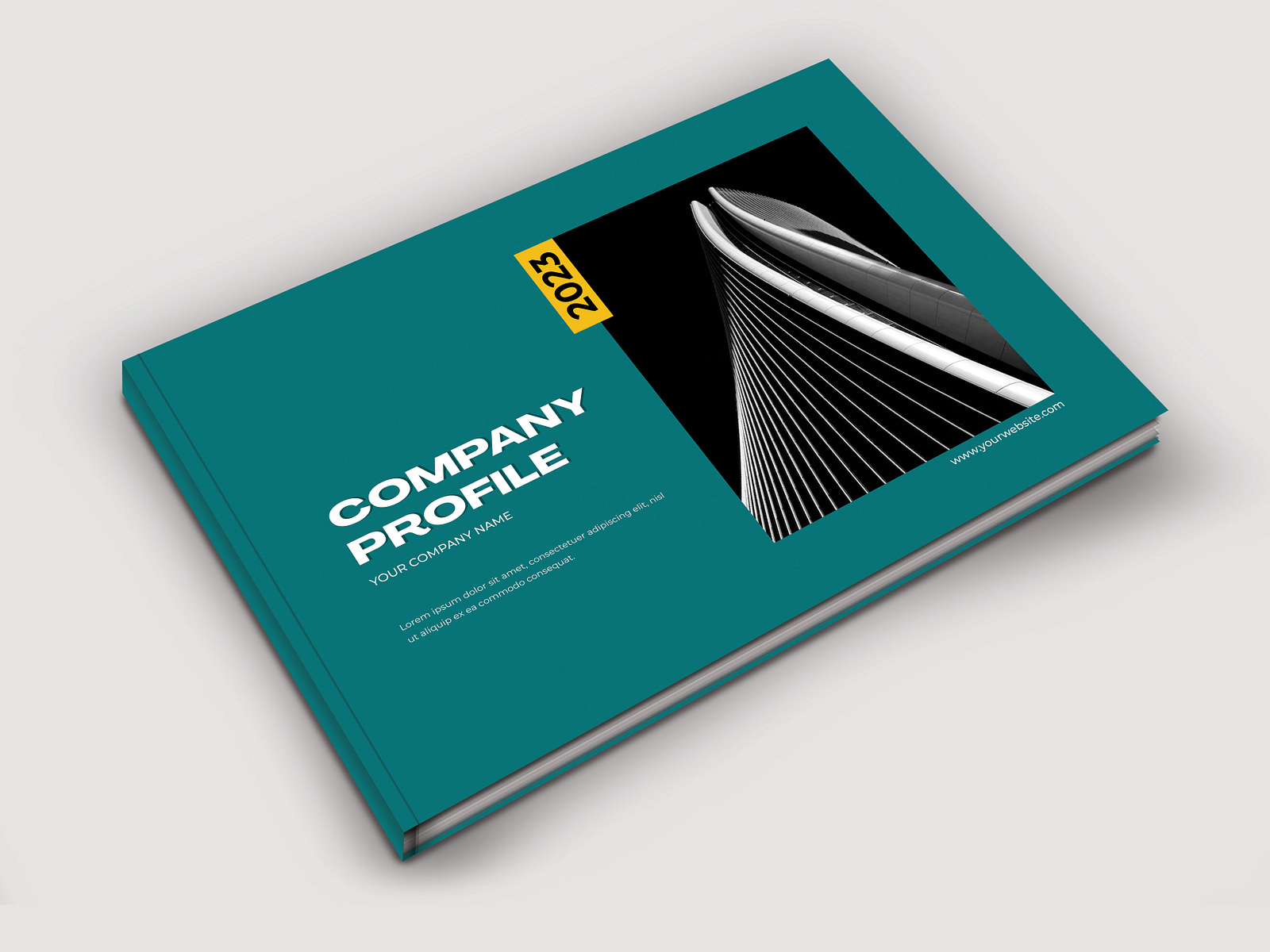 Tech Startup Profile