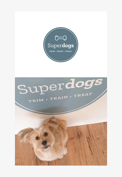 Superdogs - Stationery