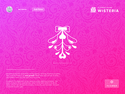 Fantasy Flower Symbol Day 1 - Wisteria app branding colorful concept design fantasy flower gradient graphic design icon illustration logo pink ui vector