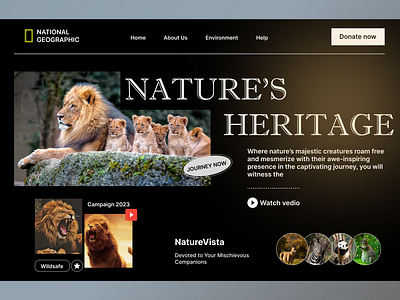 National Geographic Web Site Design: Landing Page / Home Page UI adventure animals forest header hero section homepage landing page lion national geographic nature ng wild ui uiux ux web web design wildlife