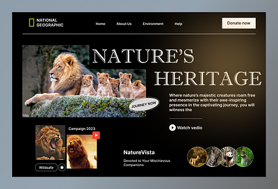 National Geographic Web Site Design: Landing Page / Home Page UI adventure animals forest header hero section homepage landing page lion national geographic nature ng wild ui uiux ux web web design wildlife