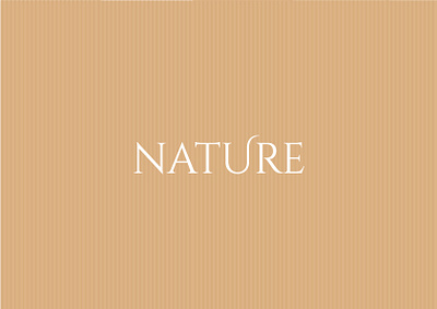 Nature Tea / Branding / Package branding design graphic design illustration logo minimal minimalis minimalist package ui vector