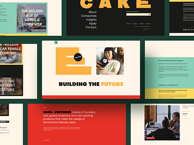 Cake Ventures branding design graphic design ui ux
