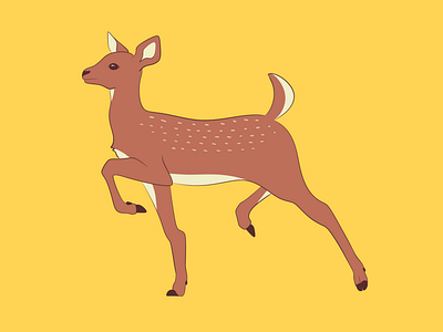 Deer Illustration animal childrens design illustration kidlit
