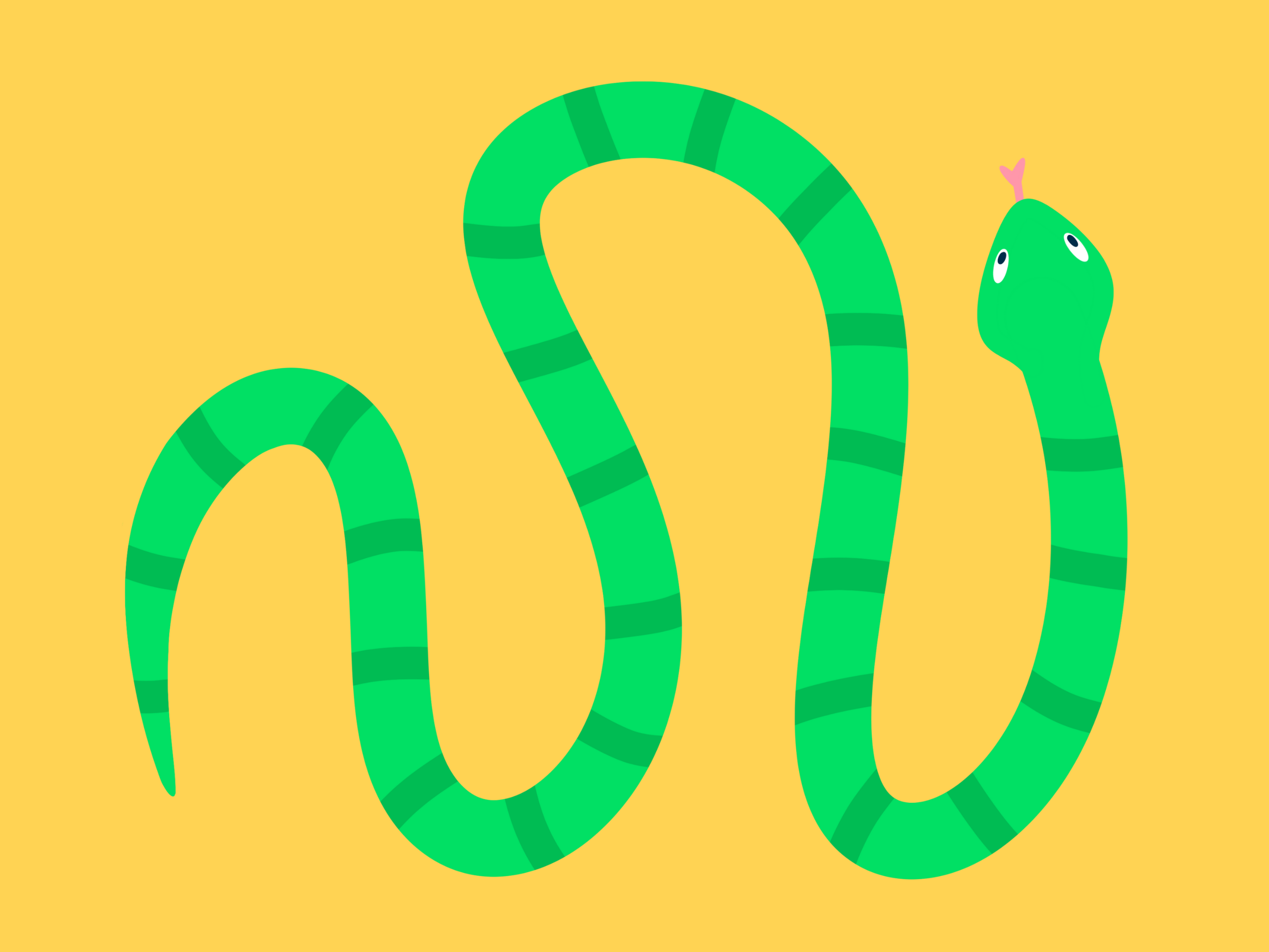Example of Snake Illustration