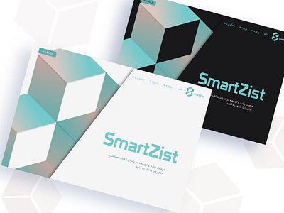 SmartZist Website design enviroment ui ux web design