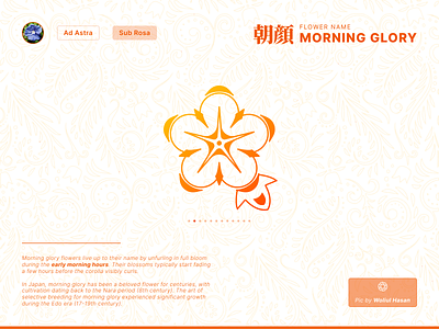 Fantasy Flower Symbol Day 2 - Morning Glory app branding colorful concept design fantasy flower gradient graphic design icon illustration logo orange ui vector