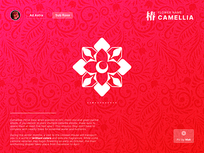Fantasy Flower Symbol Day 3 - Camellia app branding colorful concept design fantasy flower gradient graphic design icon illustration logo red ui vector