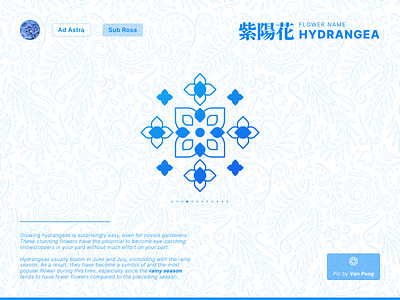 Fantasy Flower Symbol Day 4 - Hydrangea app blue branding colorful concept design fantasy flower gradient graphic design icon illustration logo ui vector