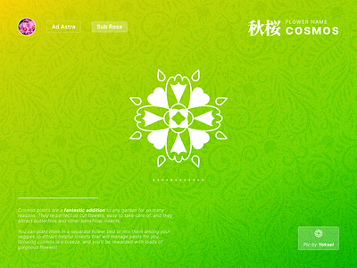 Fantasy Flower Symbol Day 5 - Cosmos app branding colorful concept design fantasy flower gradient graphic design green icon illustration logo ui vector