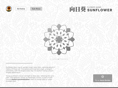 Fantasy Flower Symbol Day 6 - Sunflower app branding colorful concept design fantasy flower gradient graphic design gray icon illustration logo ui vector