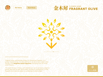 Fantasy Flower Symbol Day 8 - Fragrant Olive app branding colorful concept design fantasy flower golden gradient graphic design icon illustration logo ui vector