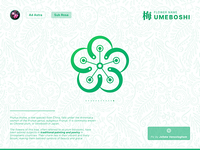 Fantasy Flower Symbol Day 12 - Umeboshi app branding colorful concept design fantasy flower gradient graphic design green icon illustration logo ui vector