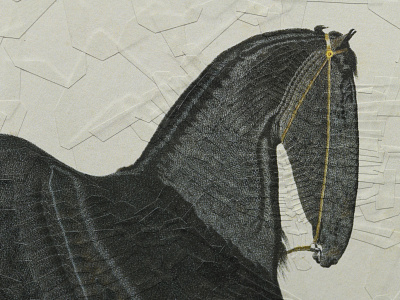 Spectral after Volkers, detail collage detail equine horse horse head horses illustration