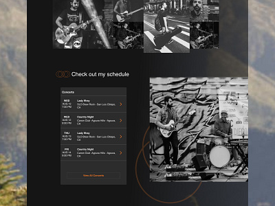 Landing page artist band black blues classes concert darkmode guitar jazz music musicconcert musician musicimages orange pop rock ui userinterface webdesign