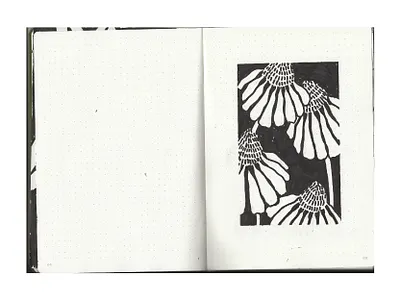 Floral Sketchbook - Echinacea black and white flower bw flower echinacea echinacea drawing floral floral art floral illustration floral pattern flower illustration hand made handdrawn illustration illustrator natural pattern pattern design sharpie art sharpie drawing sketchbook sketchbook drawing