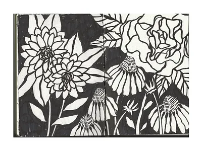 Floral Sketchbook - Dahlias, Rose, & Echinacea black and white flower bw flower echinacea echinacea drawing floral floral art floral illustration floral pattern flower illustration hand made handdrawn illustration illustrator natural pattern pattern design sharpie art sharpie drawing sketchbook sketchbook drawing