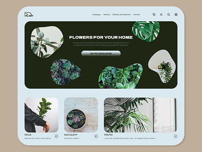 Web-design/Plant shop design graphic design online shop ui ux web webdesign