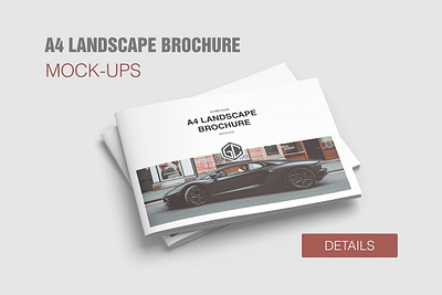 A4 Landscape Brochure Mockup perspective