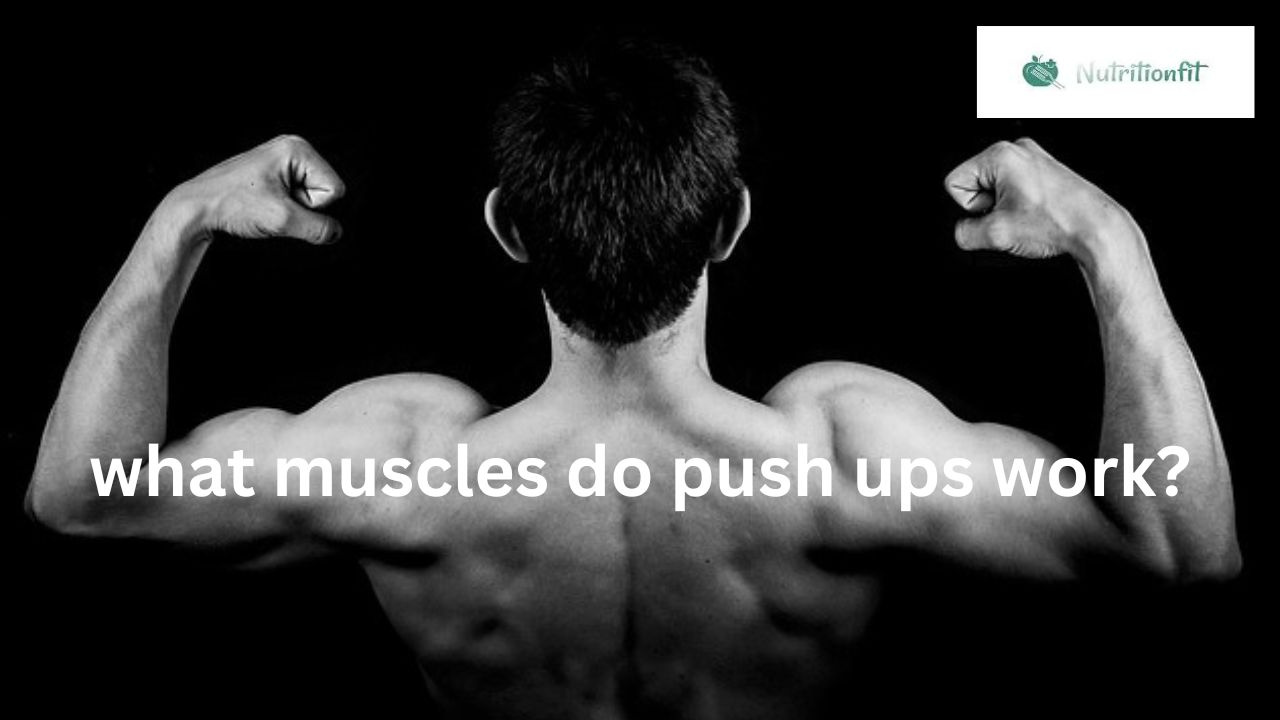 what-muscles-do-push-ups-work-by-news-nit-on-dribbble