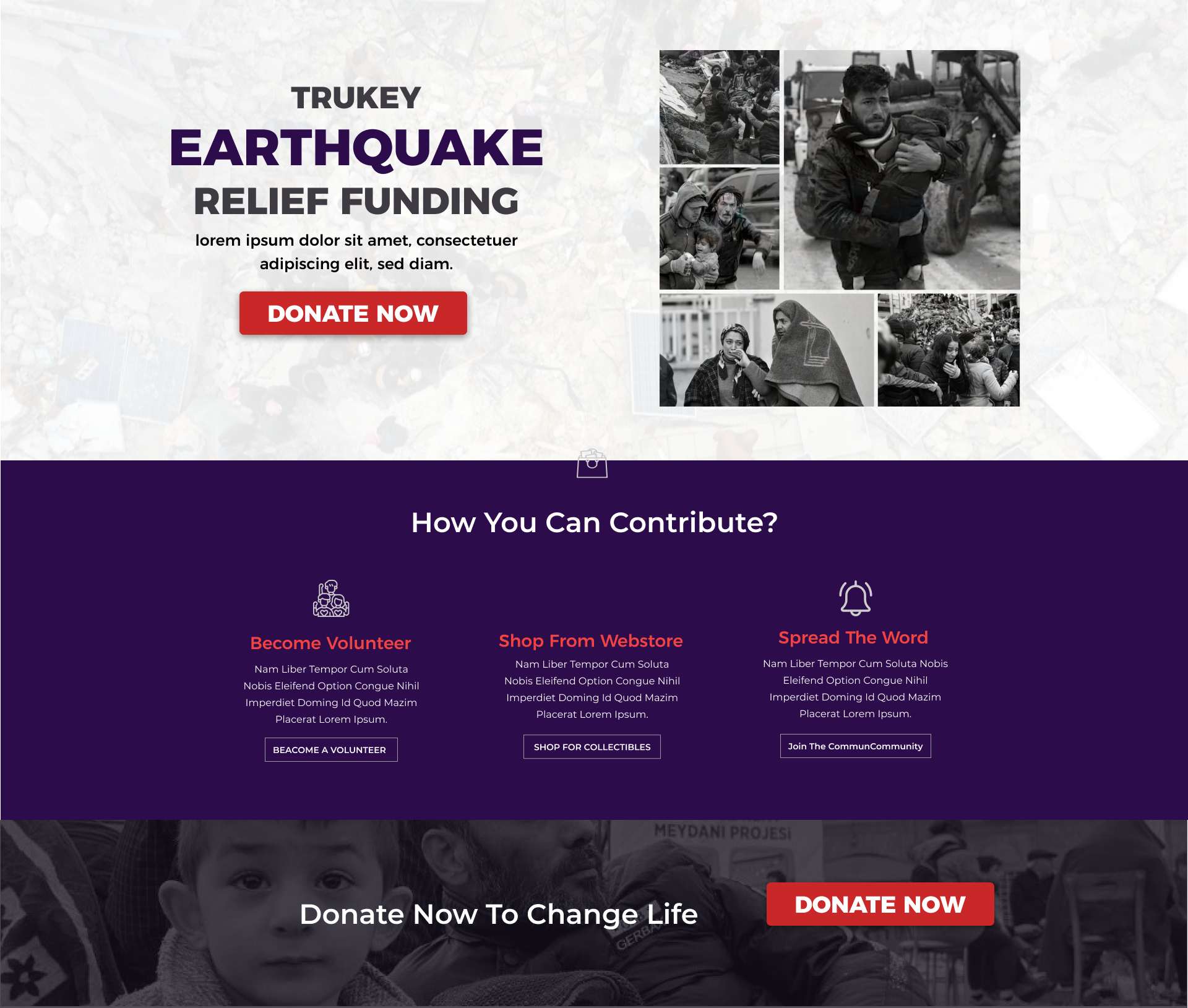 Donation Landing Page, Funding Landing Page Design wordpress landing page