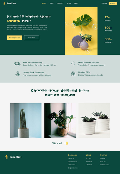 Plant Website Landing Page branding design landing page ui ux webpage website