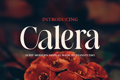 Calera Serif branding design font graphic design ligaturefont modern serif serif typedesign typeface typography