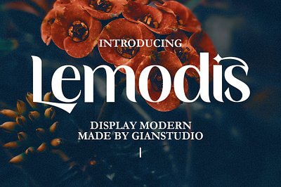 Lemodis Display branding design font graphic design ligaturefont logo modern serif signature typography