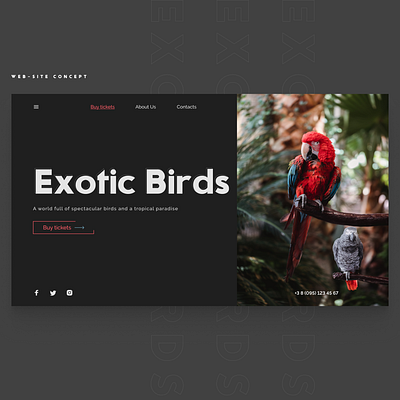 Web-site Concept Exotic Birds concept creative design ui ux web design