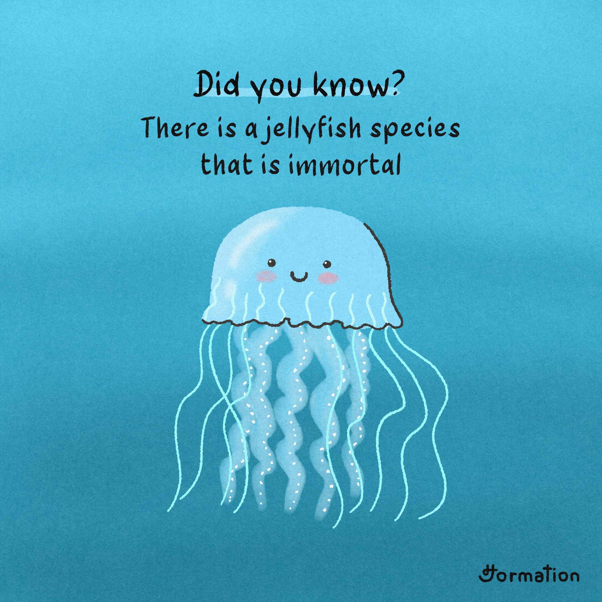 There is a jellyfish species that is immortal cartoon did you know digital art digital illustration drawing fact fun fact illustration immortal jellyfish ocean procreate