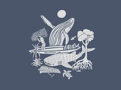 Pacific mystical branding colombia design fiche fish fisherman graphic design illustration marimba moon native nature sea tree whale whale shark woman