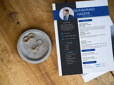 CV designs creative cv cv desgn data entry design entering graphic design ms office ms powerpoint ms word print resume resume wrtiting writing