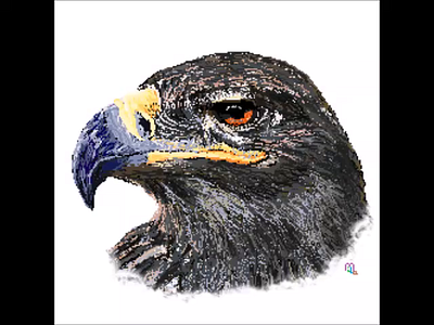 Aguila animation dibujo drawing illustration paint