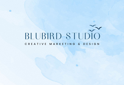 Welcome to BluBird Studio Creative brand branding design graphic design illustration logo typography webdesign website