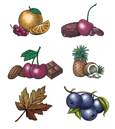 Bob's Red Mill Illustrations by Steven Noble artwork design engraving etching food fruit illustration line art logo pen and ink scratchboard steven noble woodcut