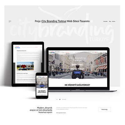 City Branding Türkiye Web Design branding web design wordpress wordpress development